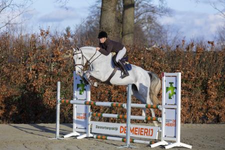 Sprong 2021hele hindernis